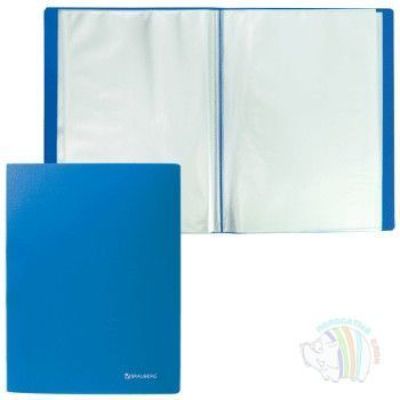 Папка 100 файлов ф.A4, пластик 0.80мм, BRAUBERG бюджет, синяя, 222640
