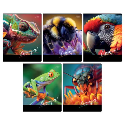 Тетрадь А5 48л., клетка BG «Смотри»