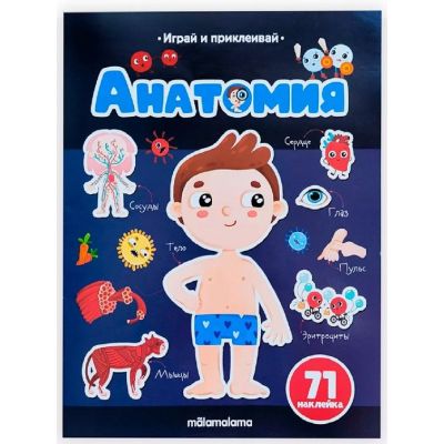 Книга Играй и приклеивай. Анатомия
