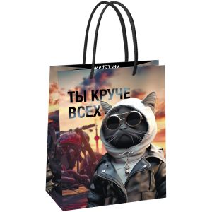 Пакет подарочный 18*23*10см MESHU «Cool guy», глянцевая ламинация