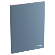 Папка 20 файлов (с прозрачными вкладышами) Berlingo Soft Touch Pro, 17мм, 700мкм, серый, с вн. карм.
