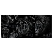 Тетрадь 96л., А4, клетка BG «Just black», soft-touch ламинация, выб. лак Т4ск96_лс_вл 08658