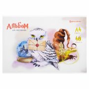Альбом для рисования 40 л, А4 скоба, обложка картон, BRAUBERG, 203х288 мм, «Магия» (2 вида), 106706