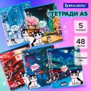 Тетрадь 48 л. А5 КОМПЛЕКТ 5 шт. BRAUBERG, клетка, матовая ламинация, лак, «Аниме Кот», 404671