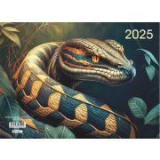 Календарь кварт. на 3-х спир. 3-х блоч. 2025 «Символ года - Мудрая Змея»