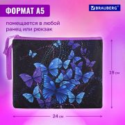 Папка для тетрадей BRAUBERG А5, 1 отделение, полиэстер, на молнии, с ручкой, «Fly Aways»