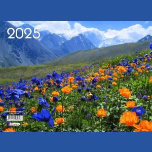 Календарь кварт. на 3-х спир. 3-х блоч. 2025 «Цветочная поляна»