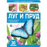 Книга с окошком Первые знания малыша. Луг и пруд