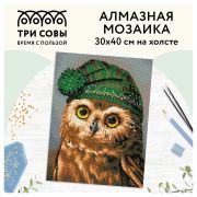 Алмазная мозаика ТРИ СОВЫ «Сова», 30*40см, холст, картонная коробка с пластиковой ручкой