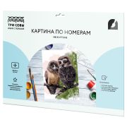 Картина по номерам на картоне ТРИ СОВЫ «Совы», 30*40, с акриловыми красками и кистями