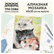 Алмазная мозаика ТРИ СОВЫ «Друзья», 40*50см, холст, картонная коробка с пластиковой ручкой