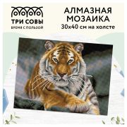 Алмазная мозаика ТРИ СОВЫ «Тигр», 30*40см, холст, картонная коробка с пластиковой ручкой