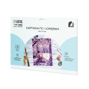 Картина по номерам на картоне ТРИ СОВЫ «Весна в балетной студии», 30*40, с акриловыми красками и кистями