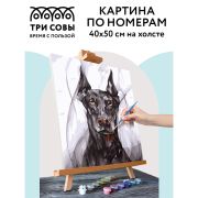 Картина по номерам на холсте ТРИ СОВЫ «Доберман», 40*50, с акриловыми красками и кистями